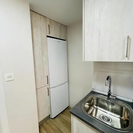 Palacio De Larrinaga Apartment